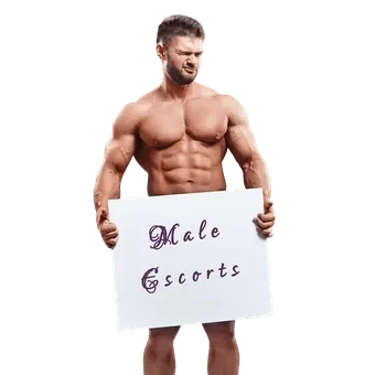 maleescort 