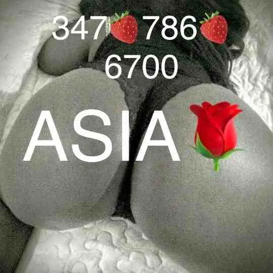 Asia Profile, Escort 3477866700