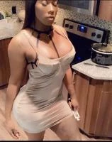 Hollyhood Profile, Escort 14437704915