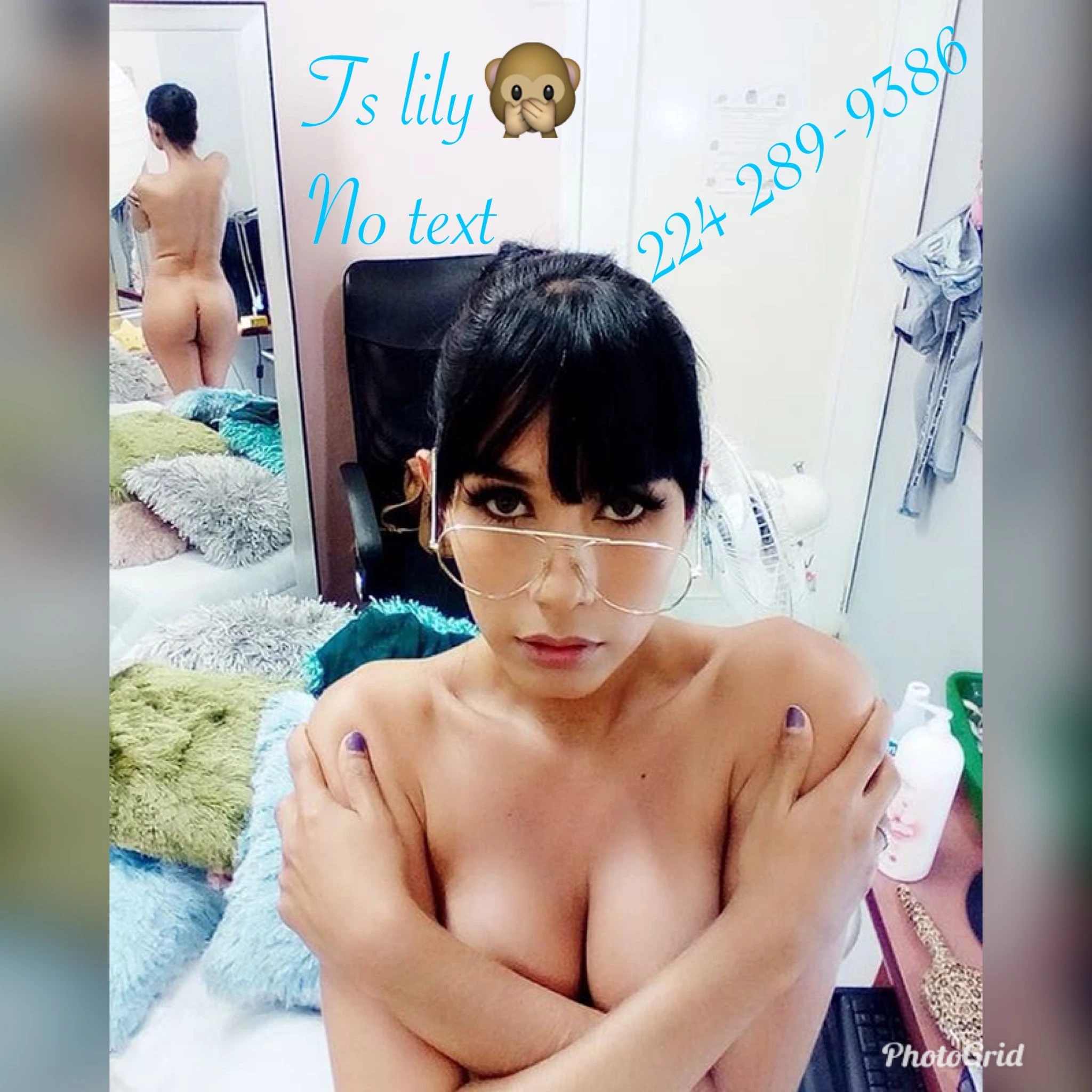 Ts lily Profile, Escort 2242899386