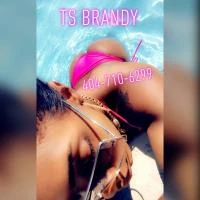 Brandy Profile, Escort 14047106299